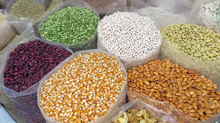 grano, maíz, frijoles, semilla, natural, saludable, cereales
