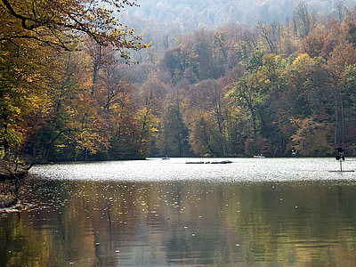 armenia, fall, autumn, forest, trees, lake, water