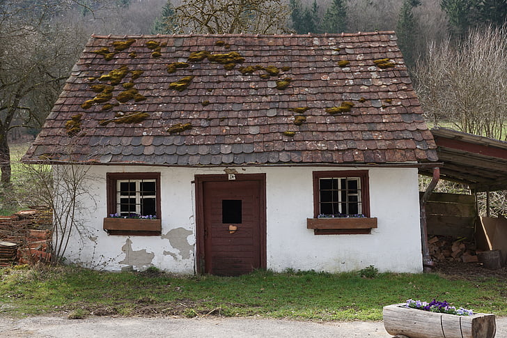 casa, granja, poble, Vall del Danubi, Fridingen, cor, herba