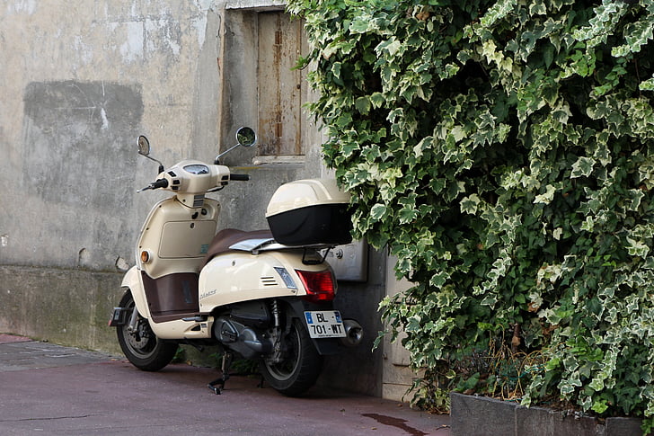 vespa, roller, two wheeled vehicle, ivy, south of france, flair, mood