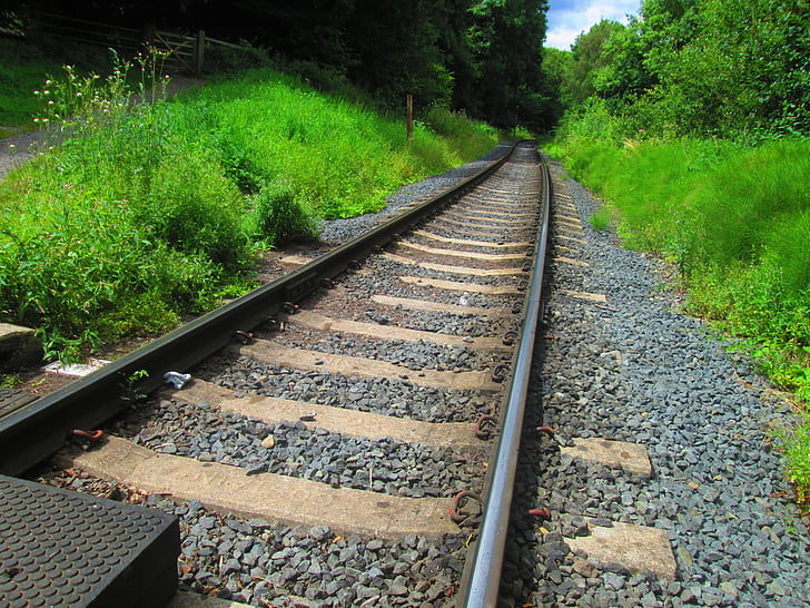 train track, train, railroad, railway, outdoor, nature, green