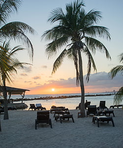 sunset, caribbean, palm trees, sea, tropical, ocean, water