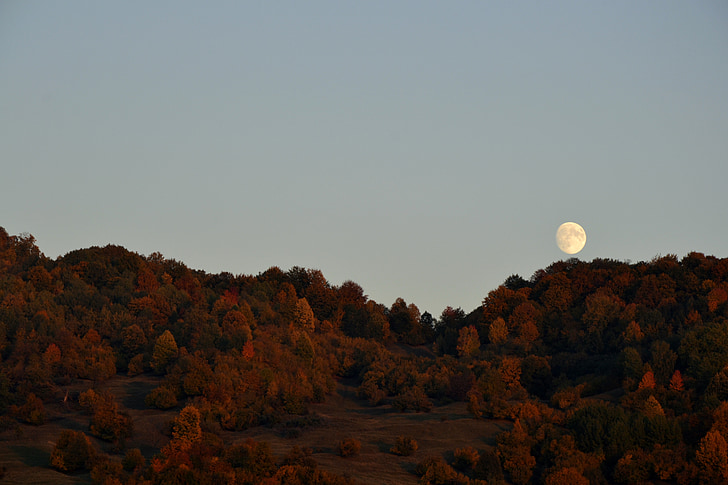 rudenį, mėnulis, kalvos, Helovinas, rudens fone, spalio, spalvos