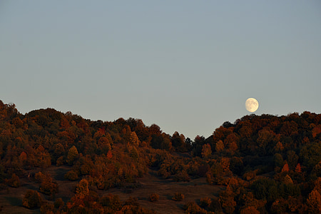 το φθινόπωρο, φεγγάρι, λόφοι, Απόκριες, Φθινοπωρινό φόντο, Οκτώβριος, χρώματα