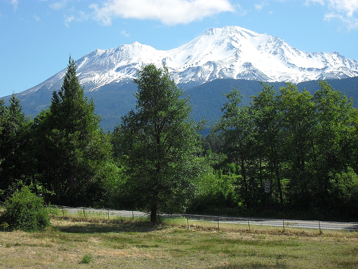Mount shasta, trær, blå, grønn, landskapet, fjell, skjønnhet