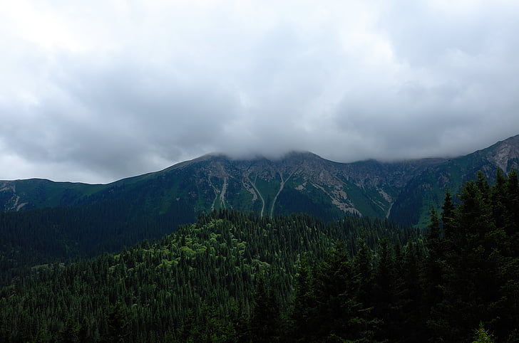 mountain, range, cloudy, sky, daytime, cloud, tree
