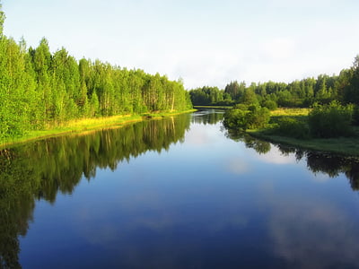 Rusland, floden, vand, refleksioner, naturskønne, sommer, forår