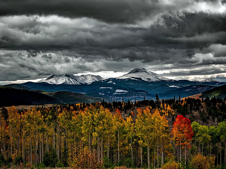 Colorado, tardor, tardor, muntanyes, neu, bosc, arbres