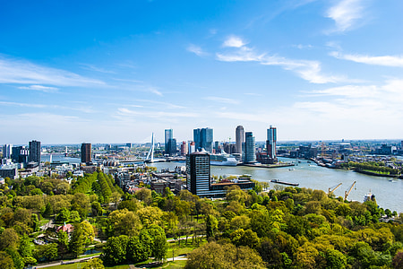 Rotterdam, nézet, torony, építészet, utca-és városrészlet, híd, város