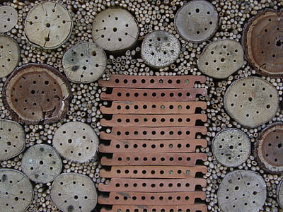 insect hotel, nesting help, drill holes, entry openings, tree grates, insect house, insect asylum