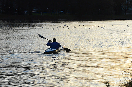 paddle, rowing, boot, water sports, canoeing, river, water
