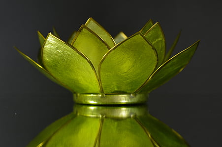 water lily, glass, green, decoration, background