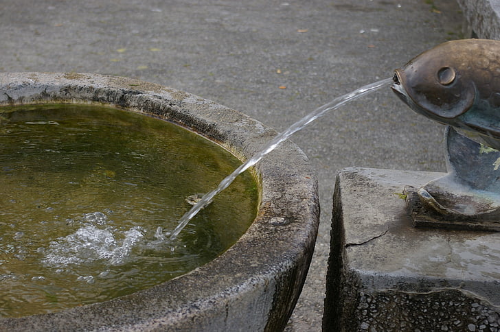 fontein, water, Splash, vis