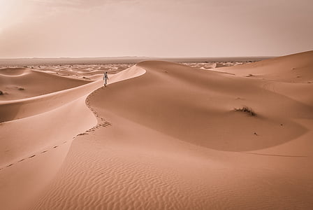 stérile, désert, dune, chaud, paysage, nature, sable