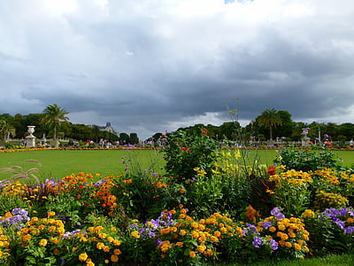 Pariis, Prantsusmaa, Jardin du luxembourg, lilled, muru, puud, taevas