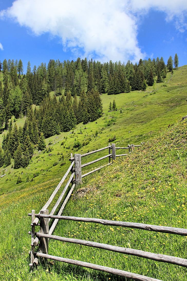 Alm, pagar, Gunung, padang rumput Alpine, Austria, pemandangan, padang rumput
