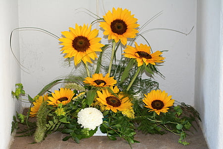 Sun flower, kwiaty, Latem, żółty, Słońce, roślina, Nasiona słonecznika