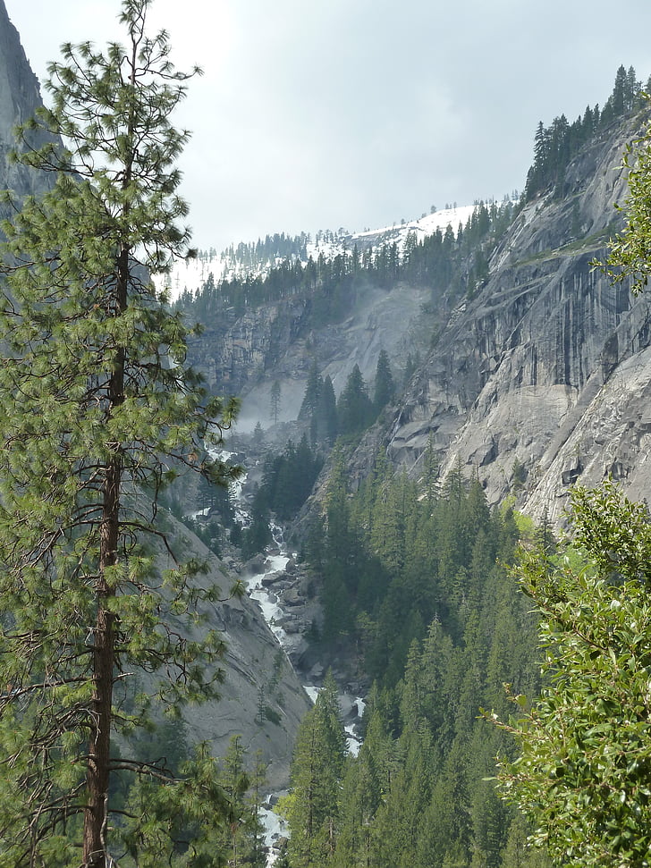 Yosemite, hory, Woods, roadtrip, Příroda, parku, Kalifornie