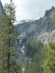 Yosemite, montagne, boschi, Roadtrip, natura, Parco, California