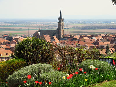 Alsace, byn, Frankrike, Heritage, gamla hus, landsbygd, gamla byn