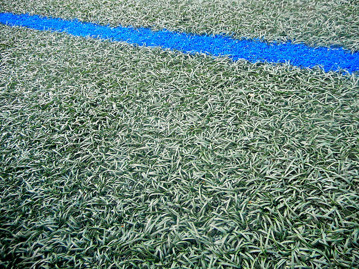 struktur, rumput, garis biru, hijau