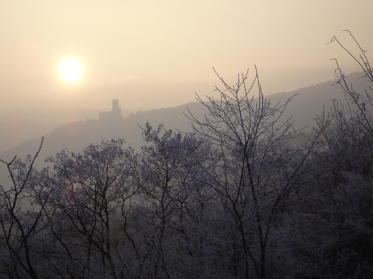 slott, Alsace, Vosges, solen, dimma, diffusa, vinter