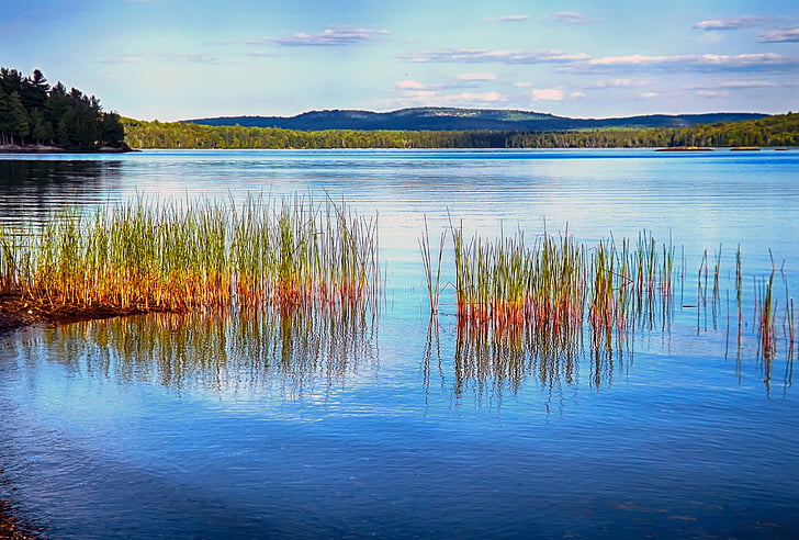 Algonquin park, Taman Propinsi, Danau, Kanada, alam, Danau, refleksi