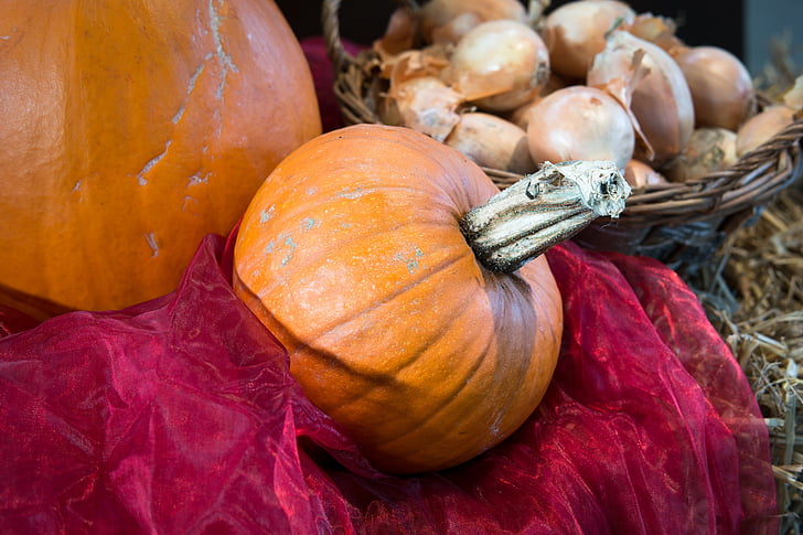 pumpkin, onions, thanksgiving, vegetables, harvest, garden