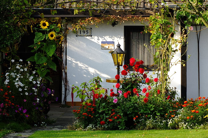 Tuin, bloemen, Home, tuinhuisje, Cottage, zonnebloem, dahlia 's