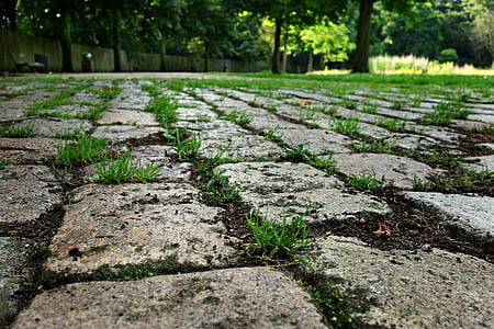stone, cobblestone, cobbles, street, walkway, pavement, surface