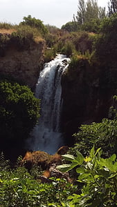 Wasserfall, Natur, Wasser, Wald, Fluss, Stream, Landschaften