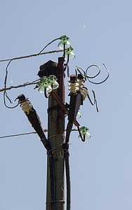 electricity, post, wire, insulators