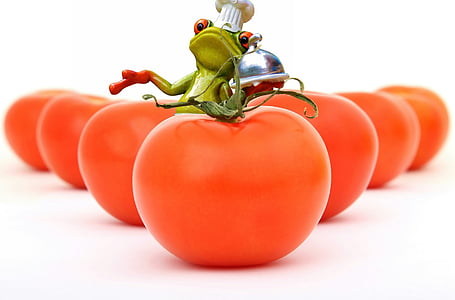 tomates, cuisine, grenouille, faire cuire, en bonne santé, alimentaire, préparation