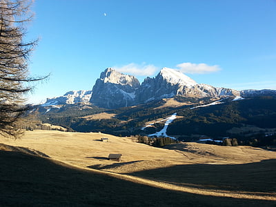 Dolomitinės Alpės, Pietų Tirolis, Schlern, Gamta, Italija, Auksinis ruduo
