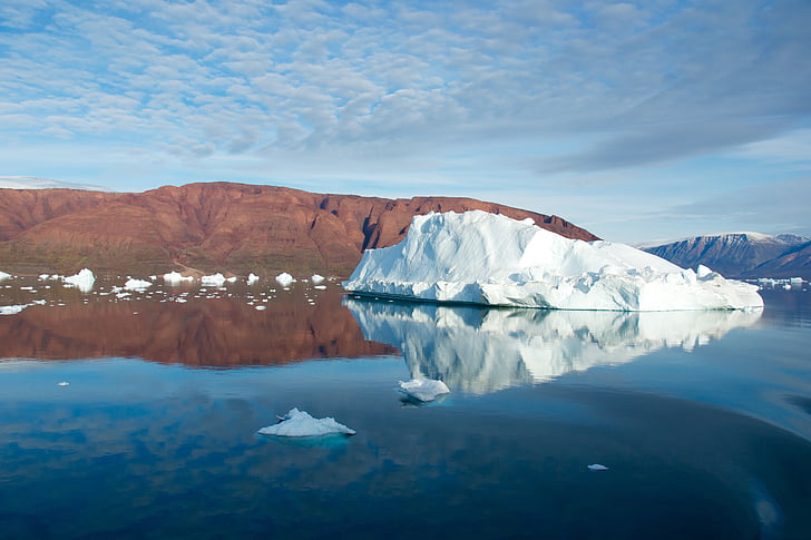 iceberg, swimming, water, ocean, nature, arctic, ice