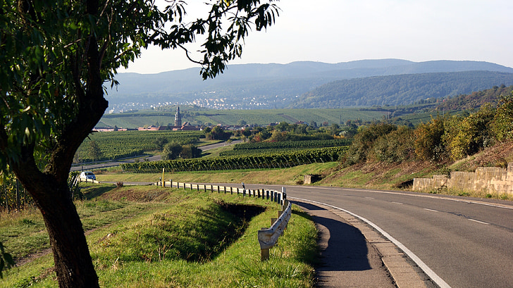 paisaje, Palatinado, vino, naturaleza, Sachsen, región del vino