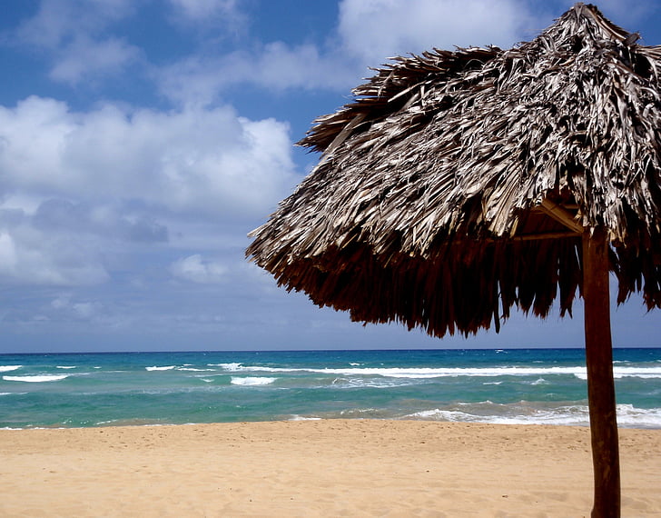 atostogų, Meksika, paplūdimys, skėtis, skėtis nuo saulės
