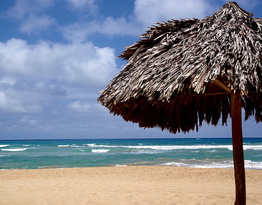 semester, Mexico, stranden, paraply, solskydd