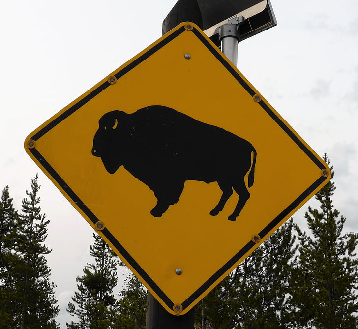 yol işareti, bizon, Sarı, ABD