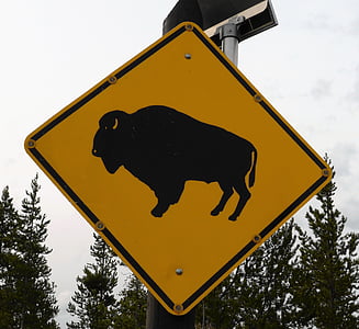road sign, bison, yellow, usa