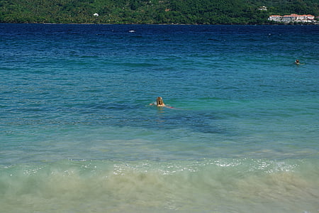 platja, levantado, nedar, illa de Bacardí, Carib