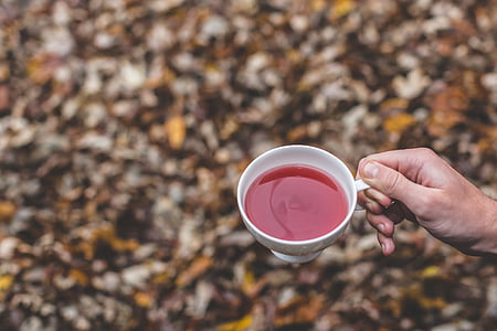 blad, Val, herfst, buiten, kruiden thee, drankje, hand