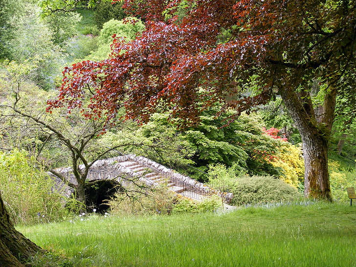 trädgård, vegetation, Bridge, Stream, träd, färg, röd