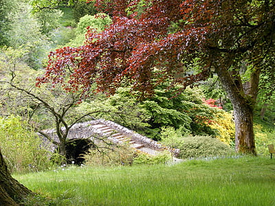 hage, vegetasjon, Bridge, Stream, trær, farge, rød