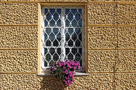 reixes de finestra, finestra, quadrícula, vell, façana, reixa, ferro forjat