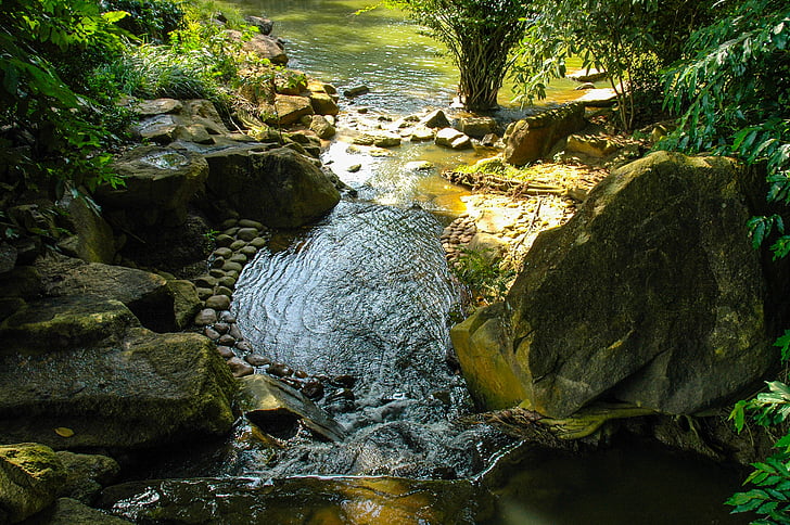 água a correr, fluente, paisagem do Rio, natureza, fluxo, Rio, floresta