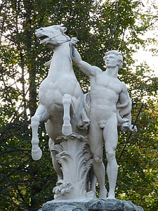 skulptur, hest, figur, statuen, kunst, stein figur, kunstverk