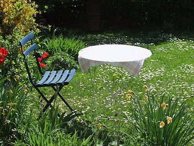 oporavak, ostalo, vrt, Tablica, stolica, ljeto