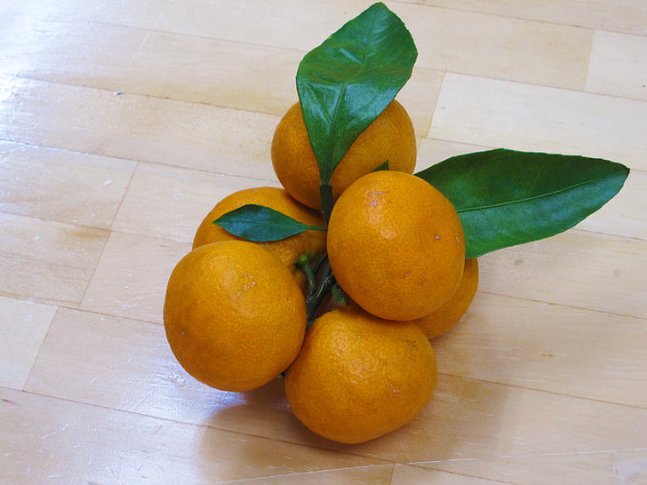 orange, frugt, Suites