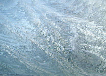külmutatud, Frost, jää, talvel, külm, ze, külma ilmaga